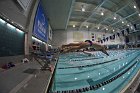 Swimming & Diving vs RWU  Swimming & Diving vs Roger Williams University. - Photo by Keith Nordstrom : Wheaton, Swimming